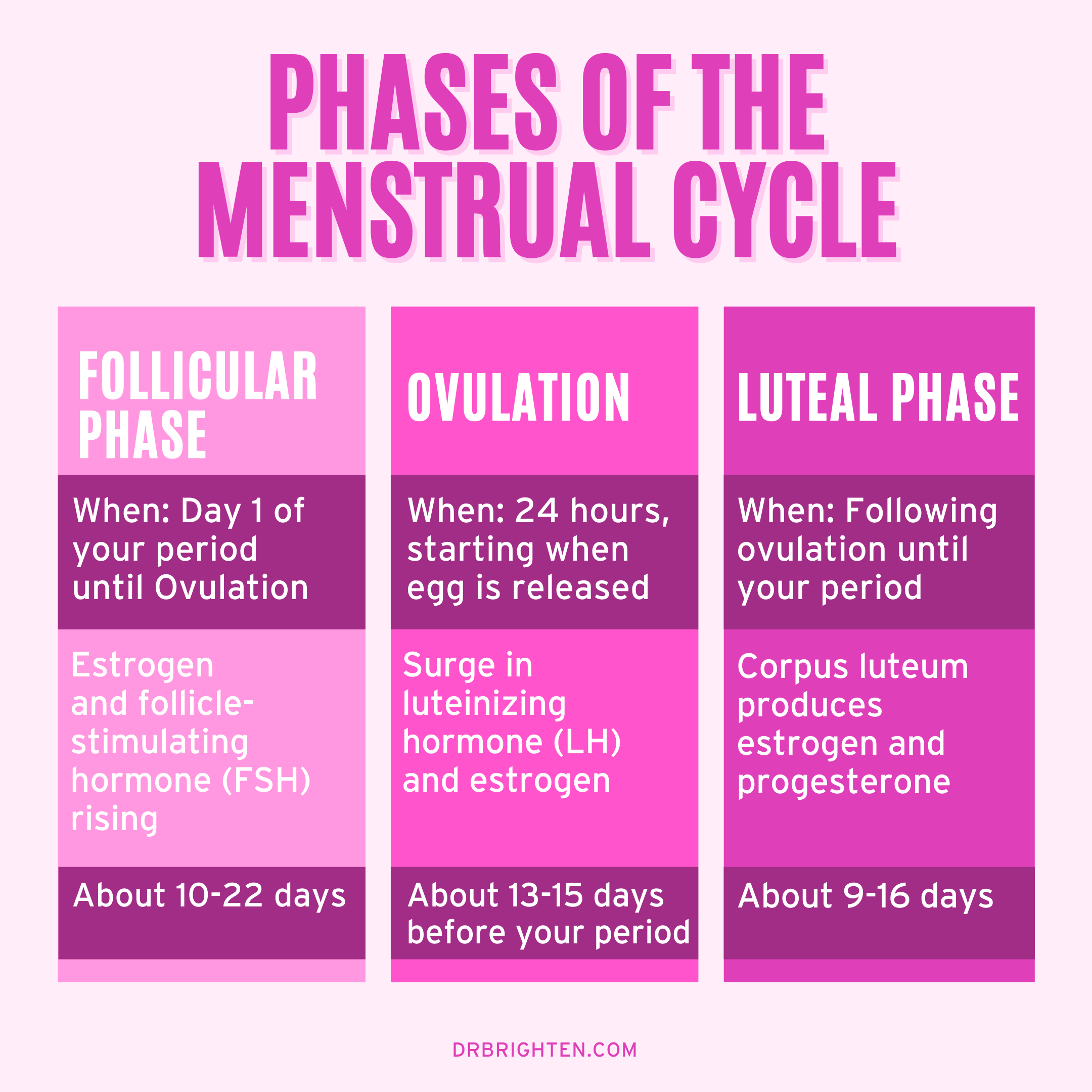 Certified Vegan, Organic, and Kosher Vulva Wash (4 Varieties - Full and Travel Sized) - Subscribe & Save!